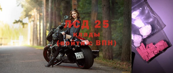ПСИЛОЦИБИНОВЫЕ ГРИБЫ Алзамай