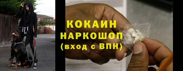 соль ск Алексин