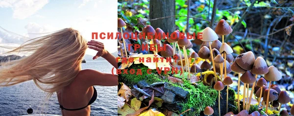 спайс Алексеевка