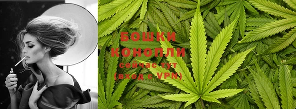 ПСИЛОЦИБИНОВЫЕ ГРИБЫ Алзамай