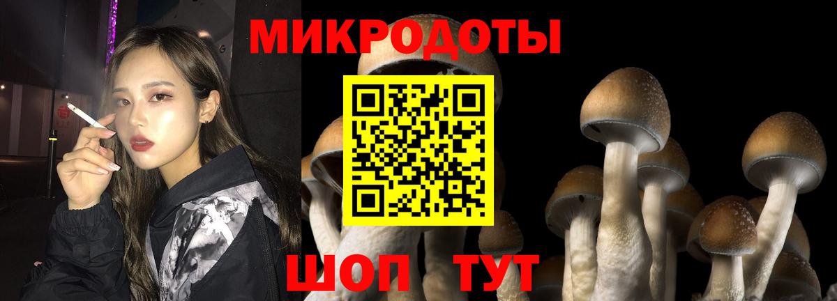 Галлюциногенные грибы Psilocybe  Галлюциногенные грибы прущие грибы  Бахчисарай  Вход с VPN 