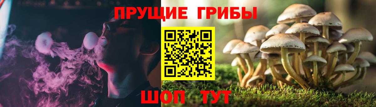 Галлюциногенные грибы ЛСД Бахчисарай